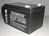 CHAMPION/NP100-12蓄电池备用电源