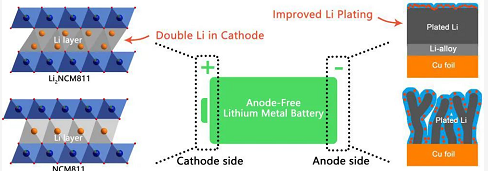 高能量密度无负极锂金属电池研究进展