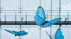 第八届中国机器人峰会—仿生机器人高峰论坛