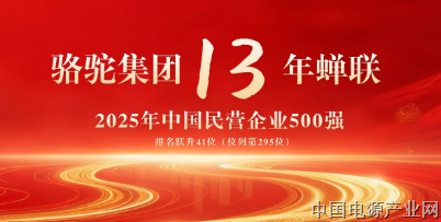 骆驼集团13年蝉联中国民企500强 排名跃升41位