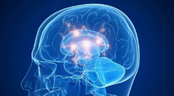 深圳定调：建100个行业模型及工业智能体